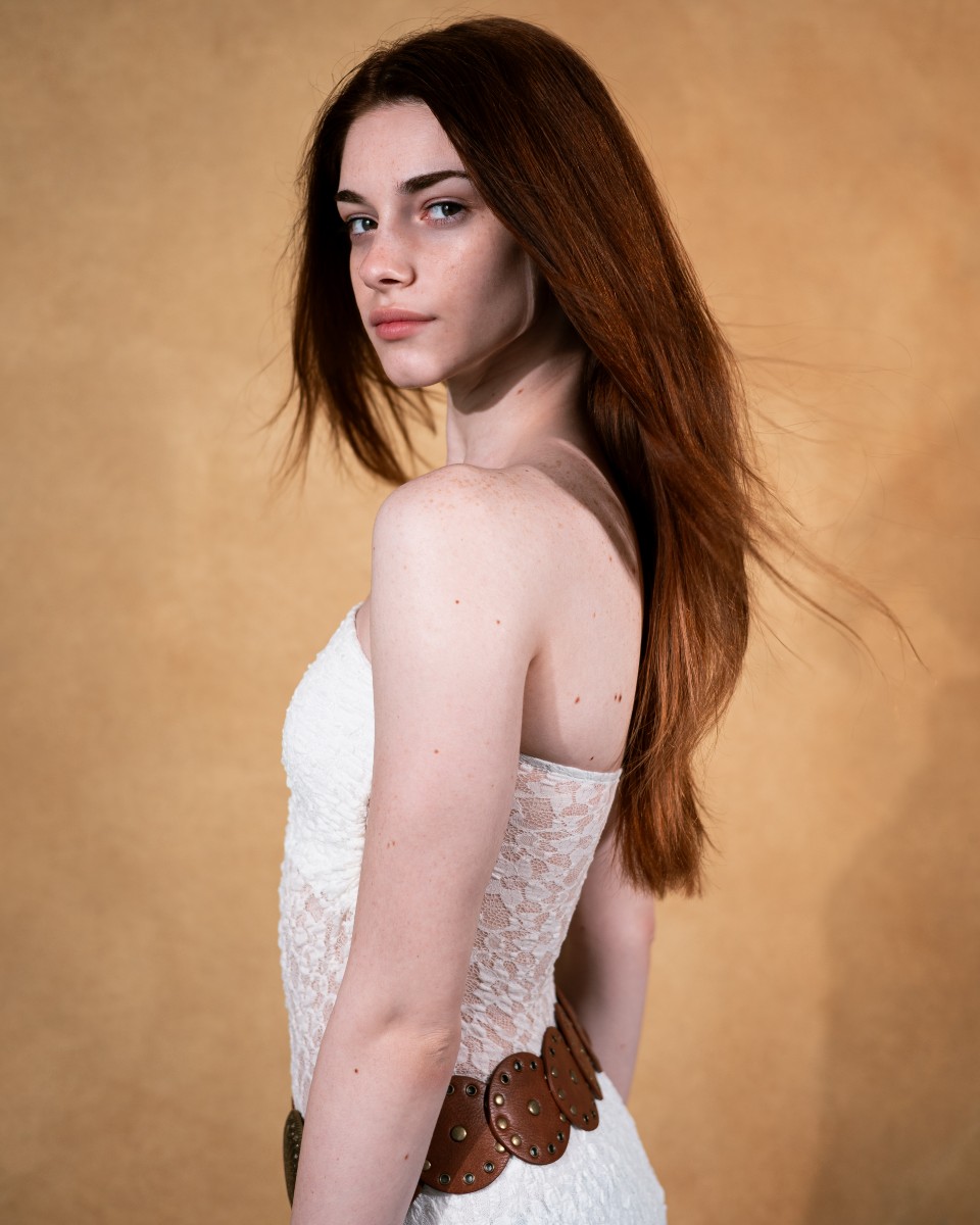 Diana Fistea book email (4)